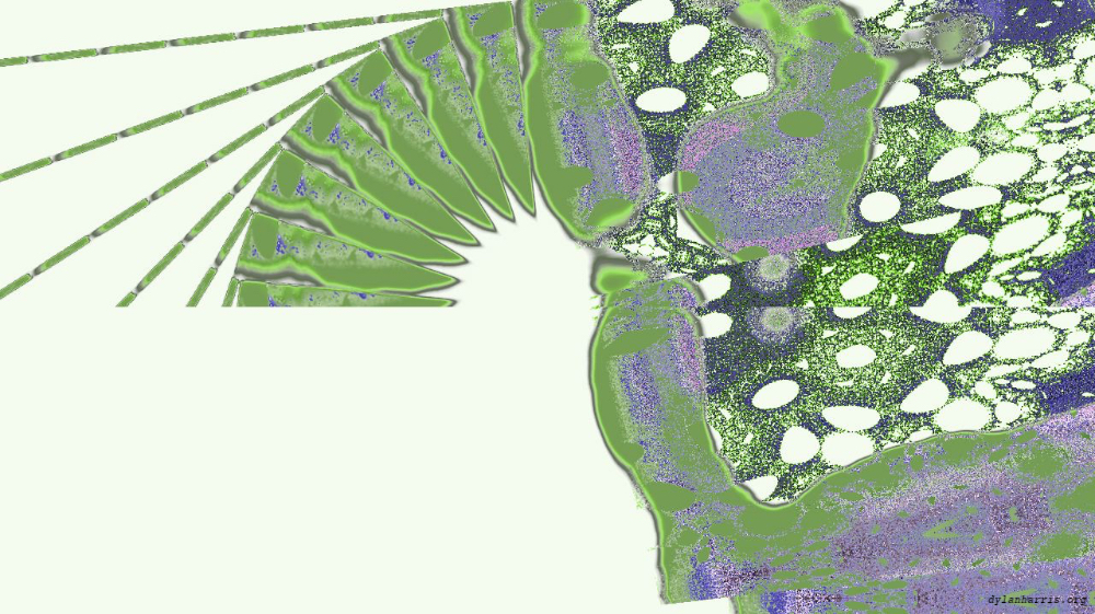 Image 'reflets — msg — variations 2 z 1 6 5'.