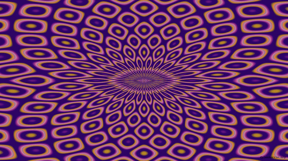 Image 'reflets — msg — variations 2 zzz 1 1 8'.