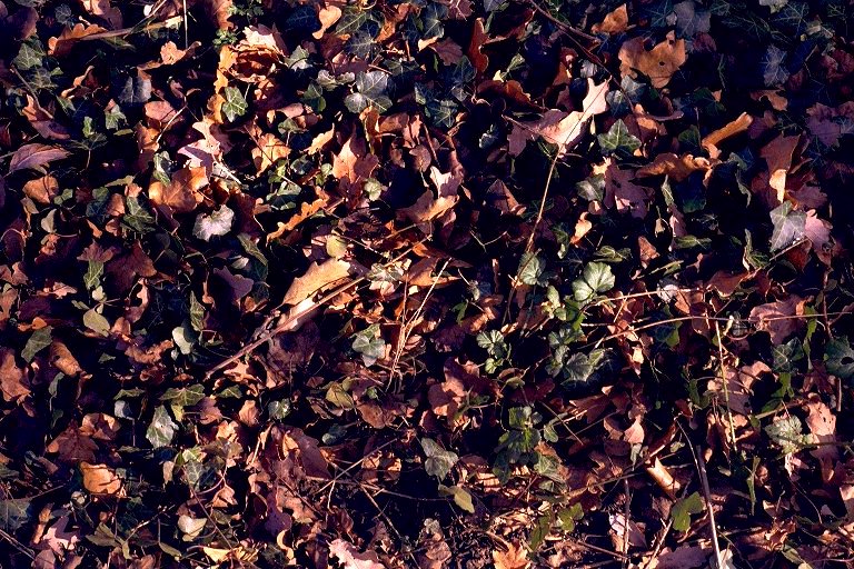 image: Texture 2 (2/4)