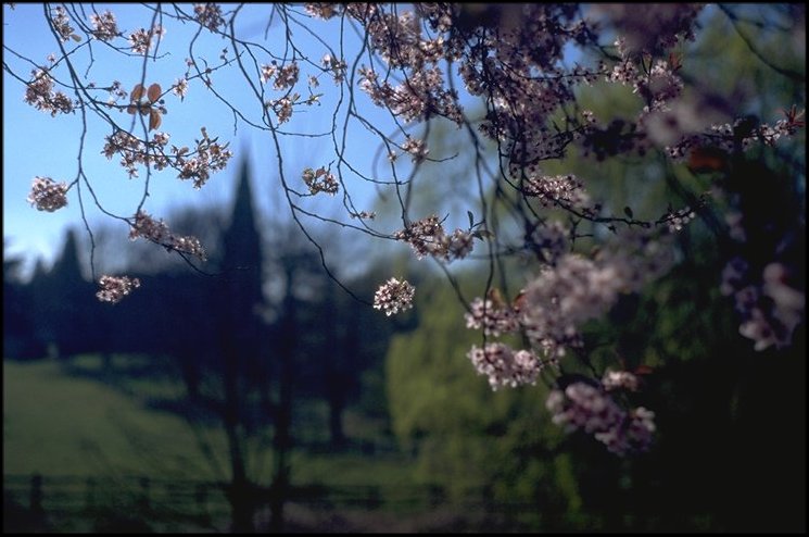 image: Barnwell (2/4)