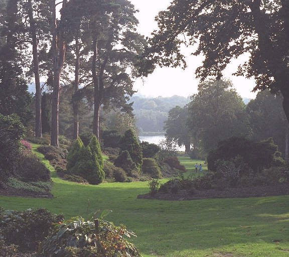 image: Miscellaneous (2/5)