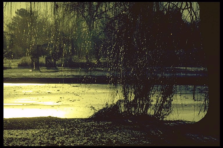 image: St.Neots Park 1 (2/4)