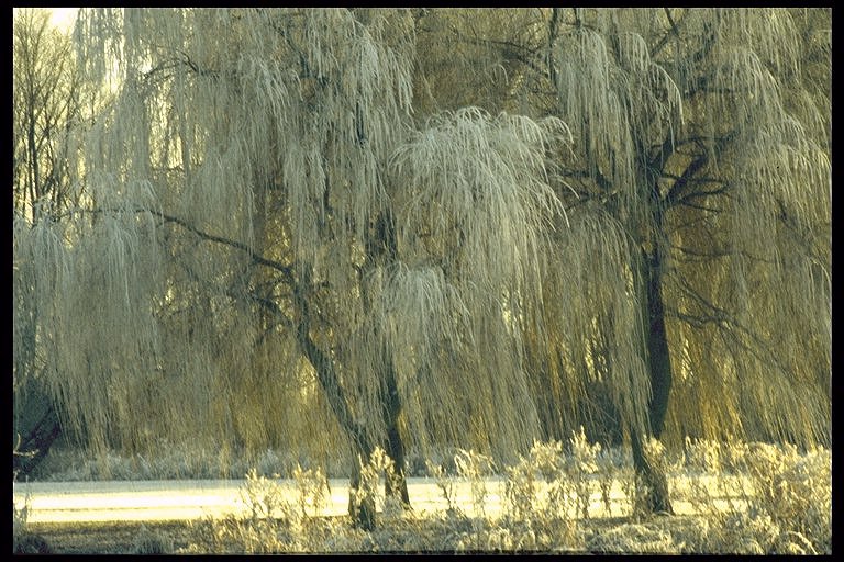 image: St.Neots Park 1 (3/4)