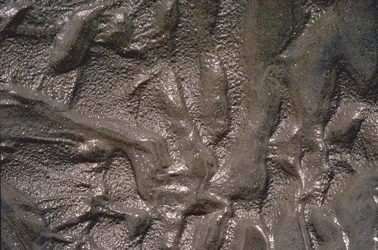 image: Texture 1 (2/4)