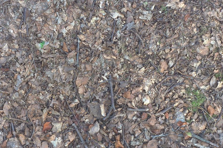 image: Texture 2 (1/4)