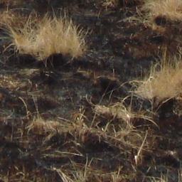 image: decorative spacefiller