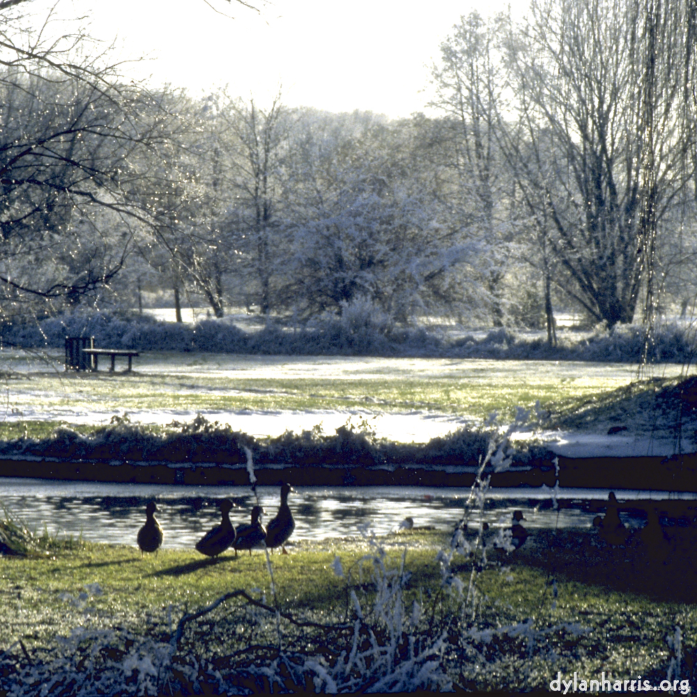 Image: Image 'st.neots park (i) 4'.