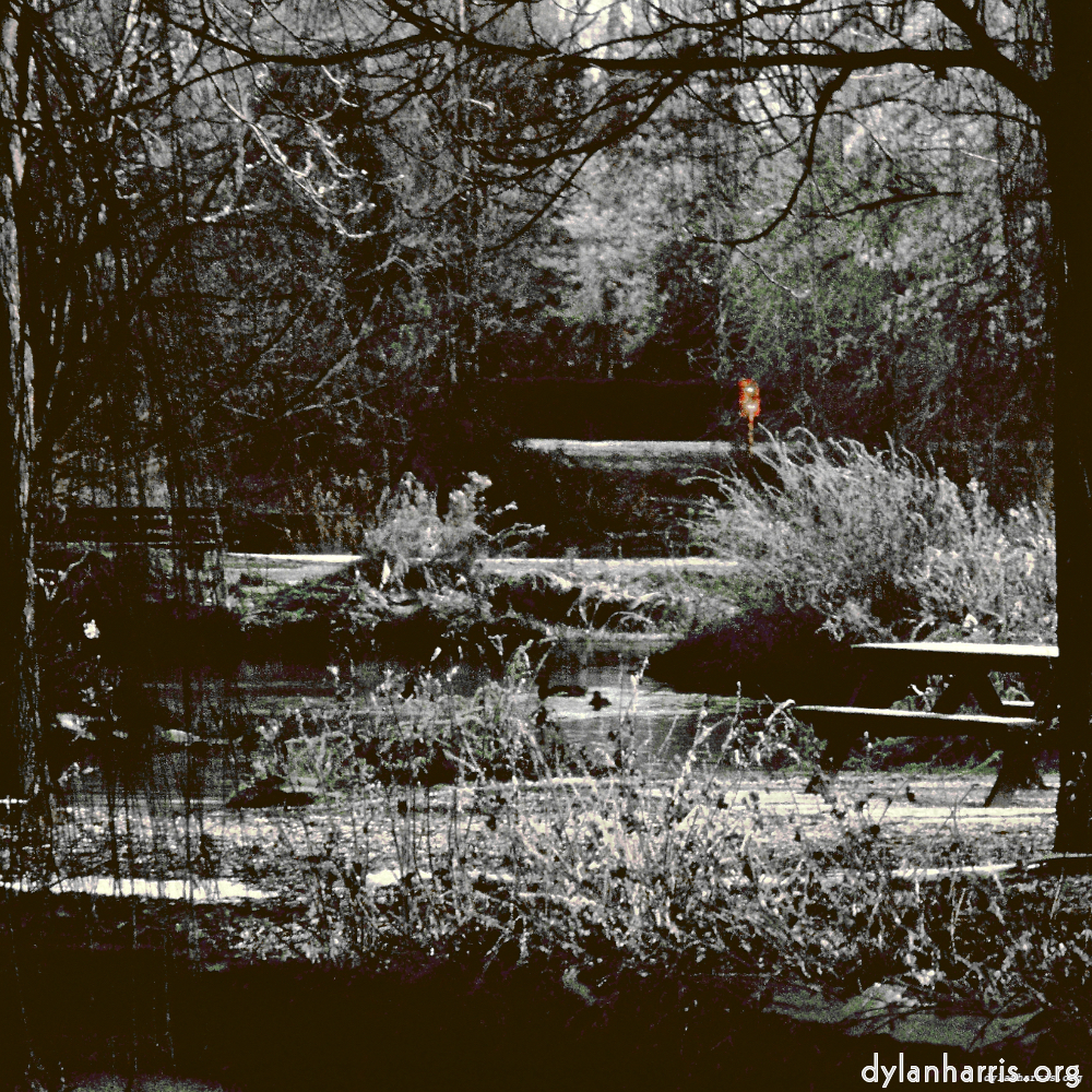 Image: Image 'st.neots park (i) 5'.