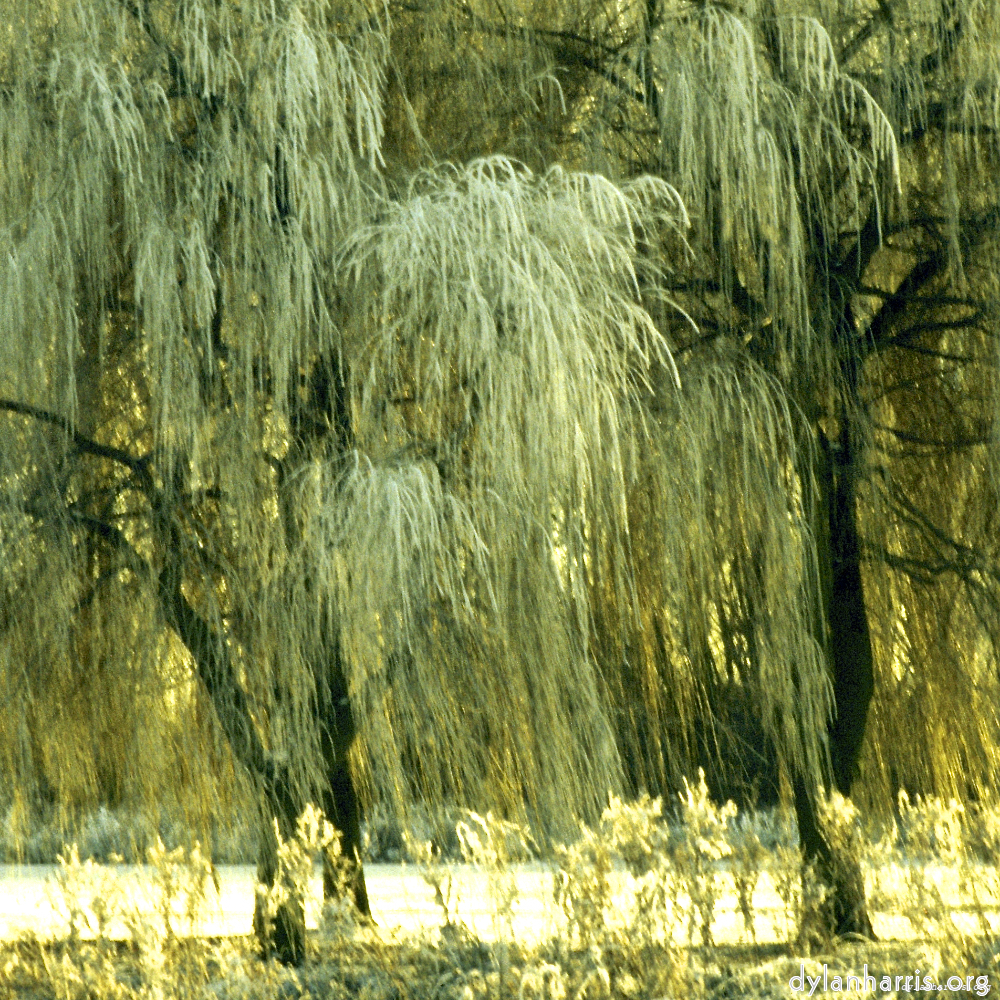 Image: Image 'st.neots park (i) 6'.