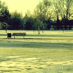 Image: First image from the photoset 'st.neots park (i)'.