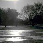 Image: Second image from the photoset 'st.neots park (i)'.