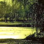 Image: Third image from the photoset 'st.neots park (i)'.