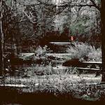 Image: Fifth image from the photoset 'st.neots park (i)'.