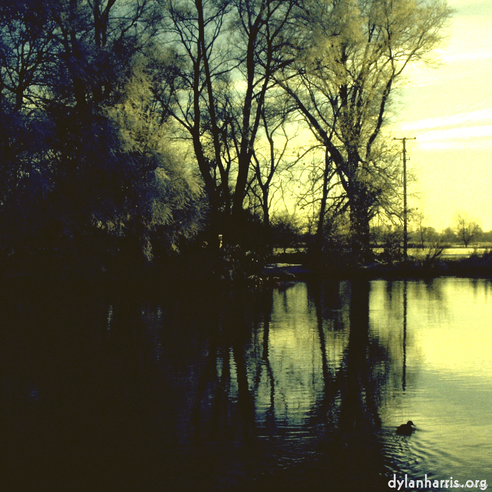 Image 'st.neots park (ii) 1'.