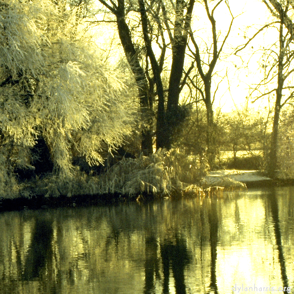 Image 'st.neots park (ii) 2'.