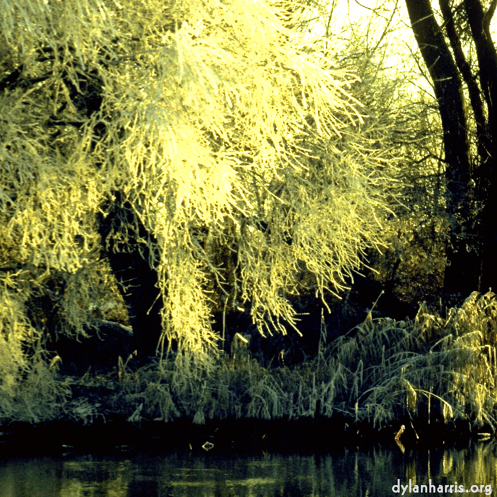 st.neots park image: an image