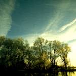 image: Image from the photoset ‘
st.neots park (ii)
’.