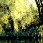 image: Image from the photoset ‘
st.neots park (ii)
’.