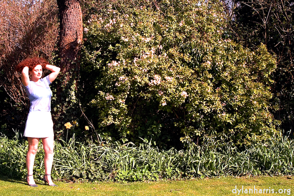 Image 'kerry (i) 1'.