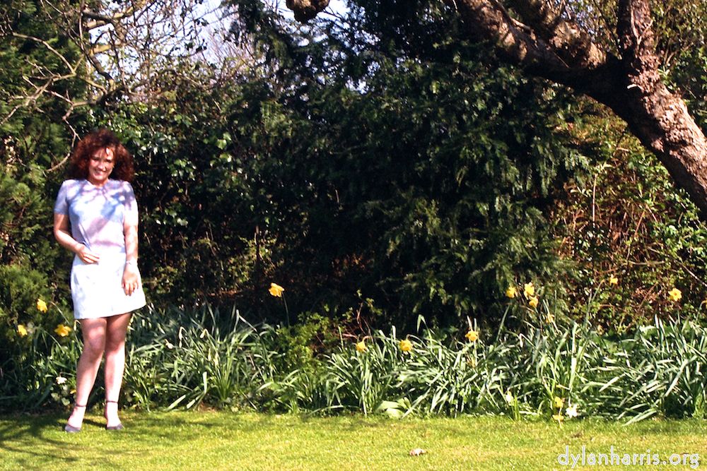 Image: Image 'kerry (i) 2'.