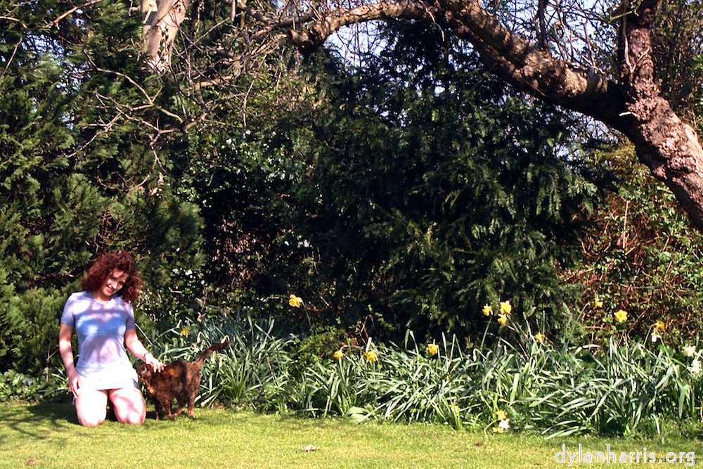 Image 'kerry (i) 4'.