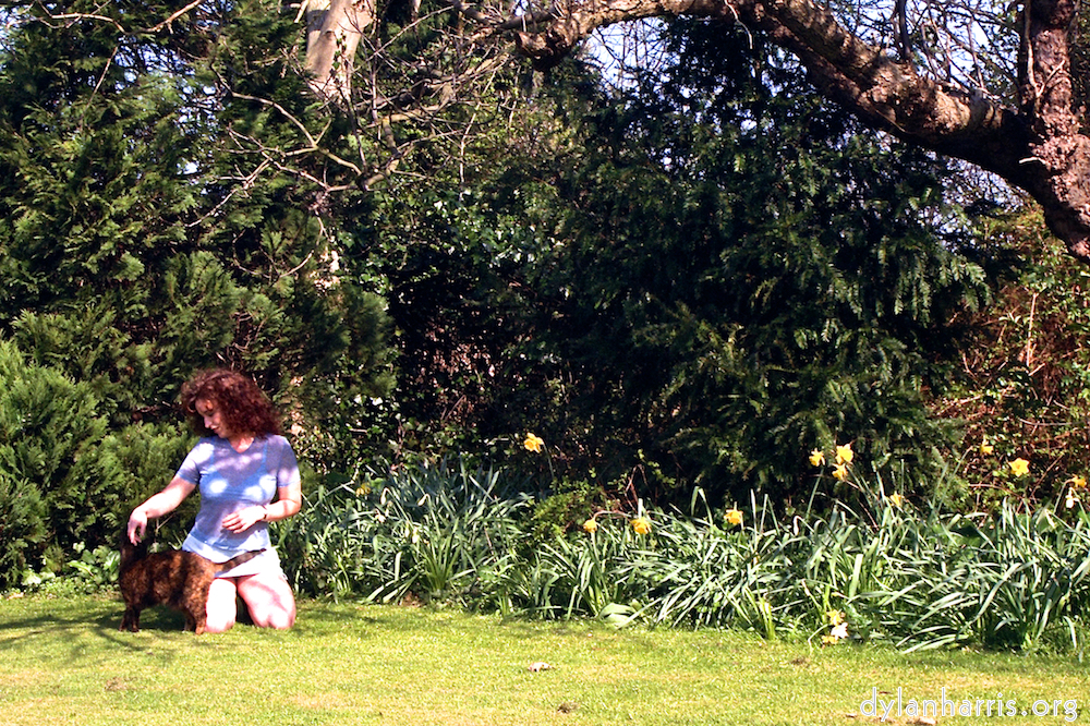 Image: Image 'kerry (i) 5'.