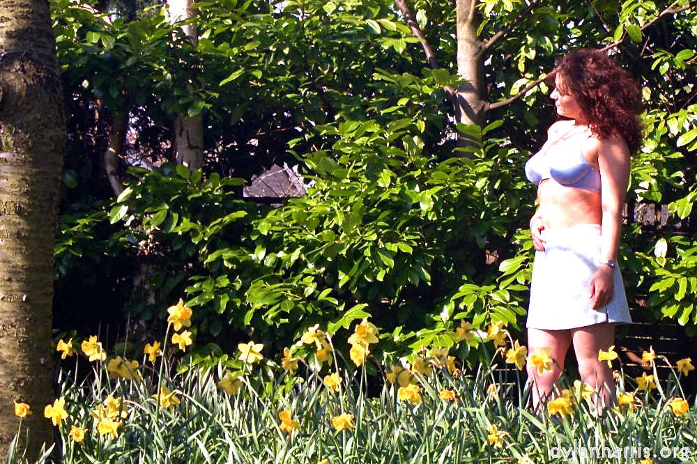 Image 'kerry (i) 7'.