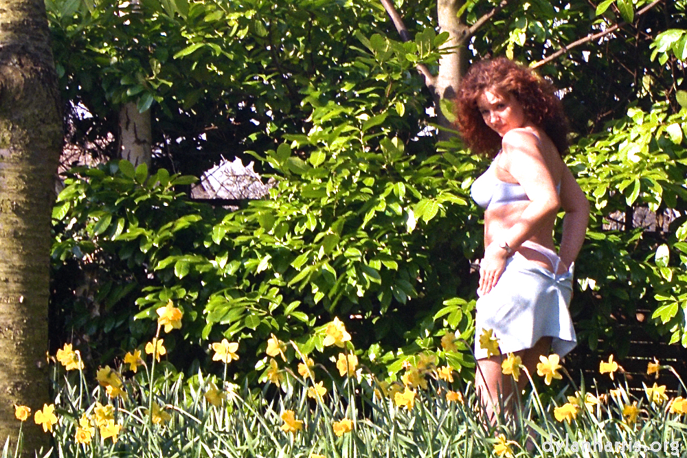 Image: Image 'kerry (i) 8'.