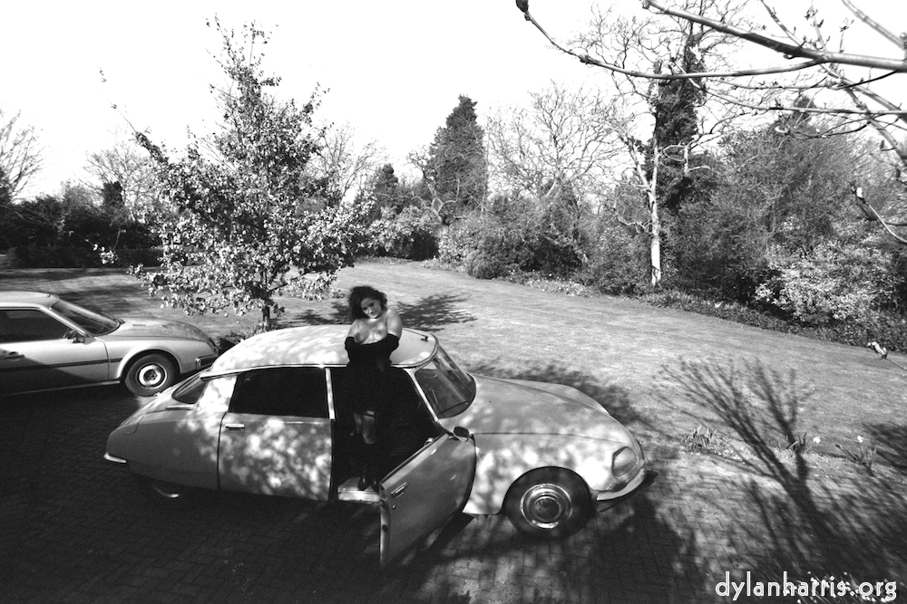 Image: Image 'kerry (iii) 2'.