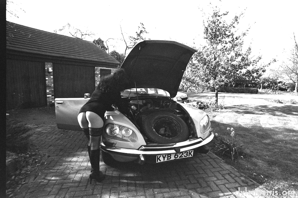 Image: Image 'kerry (iii) 3'.