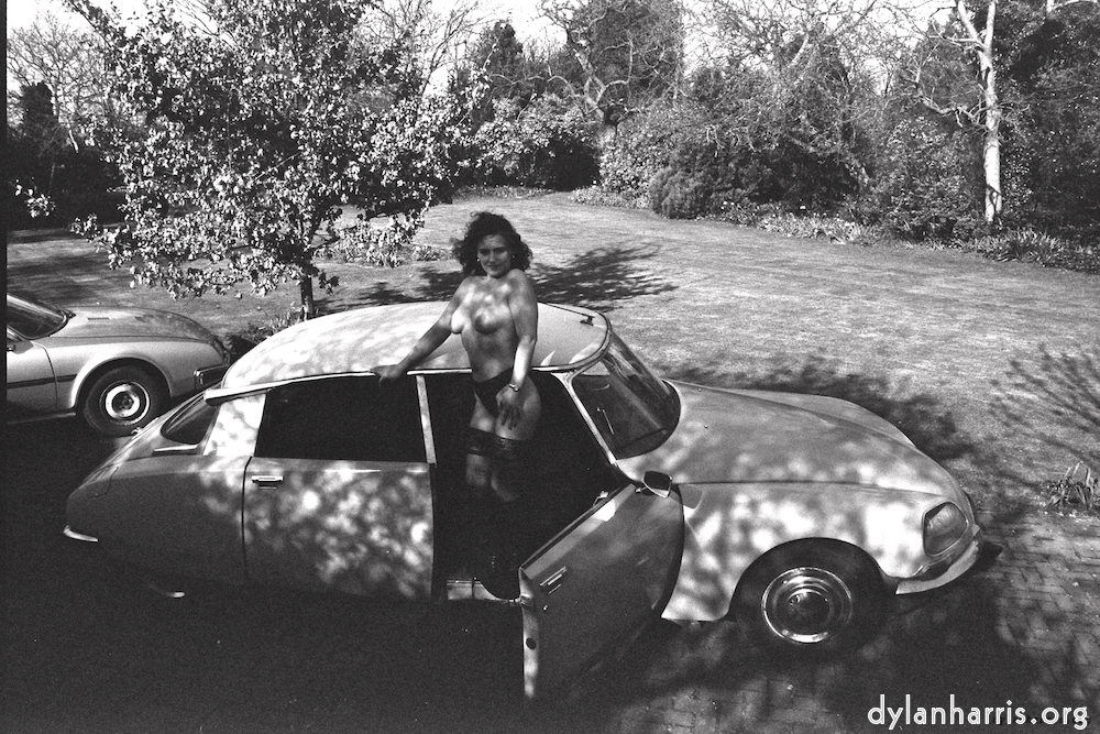 Image: Image 'kerry (iii) 5'.