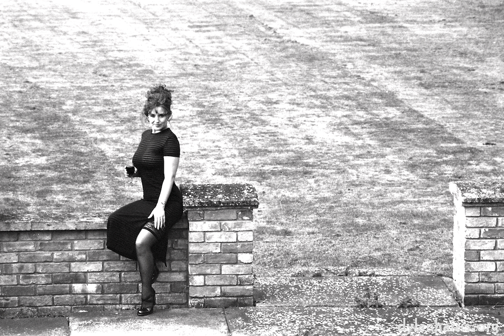 Image: Image 'kerry (v) 1'.