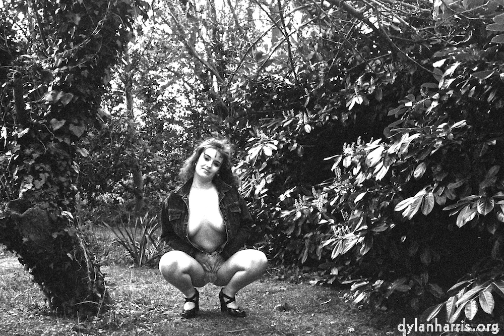 Image: Image 'kerry (v) 2'.