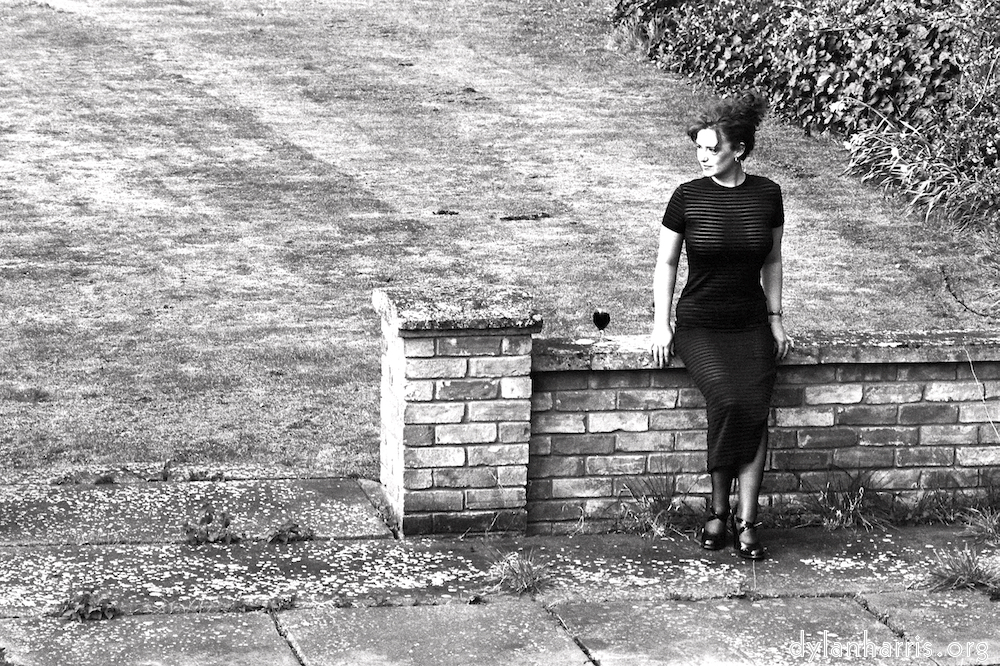 Image: Image 'kerry (v) 3'.