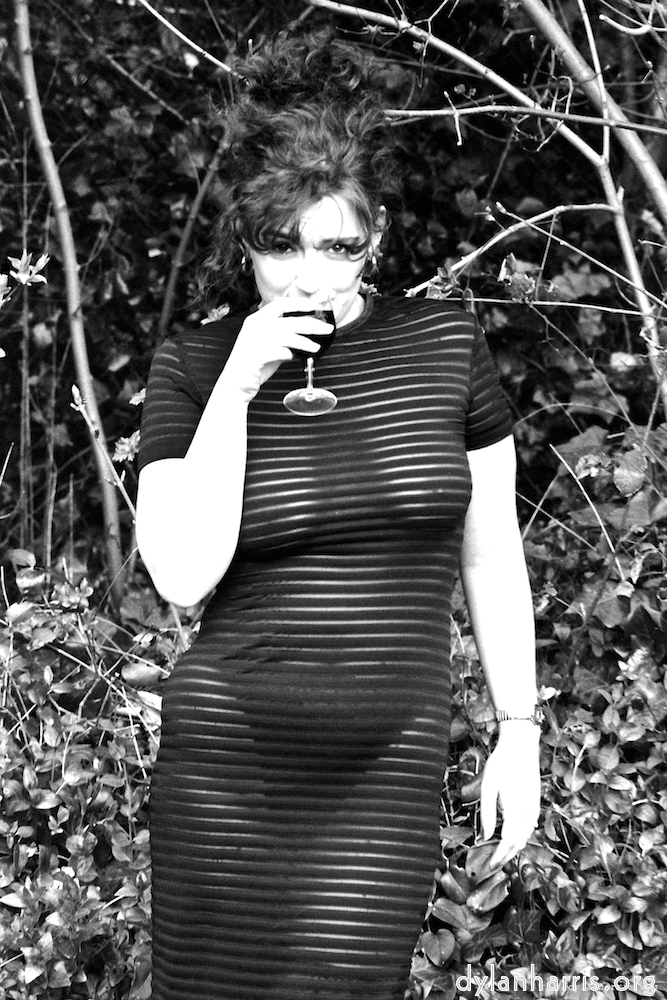 Image: Image 'kerry (vi) 2'.