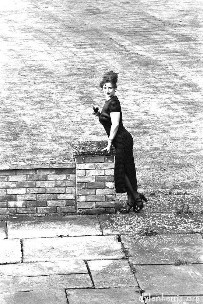 Image: Image 'kerry (vi) 3'.