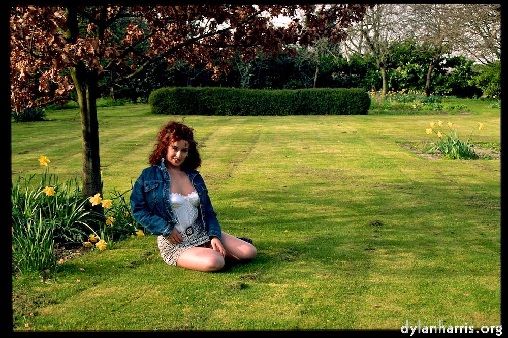 Image: Image 'kerry (ix) 2'.