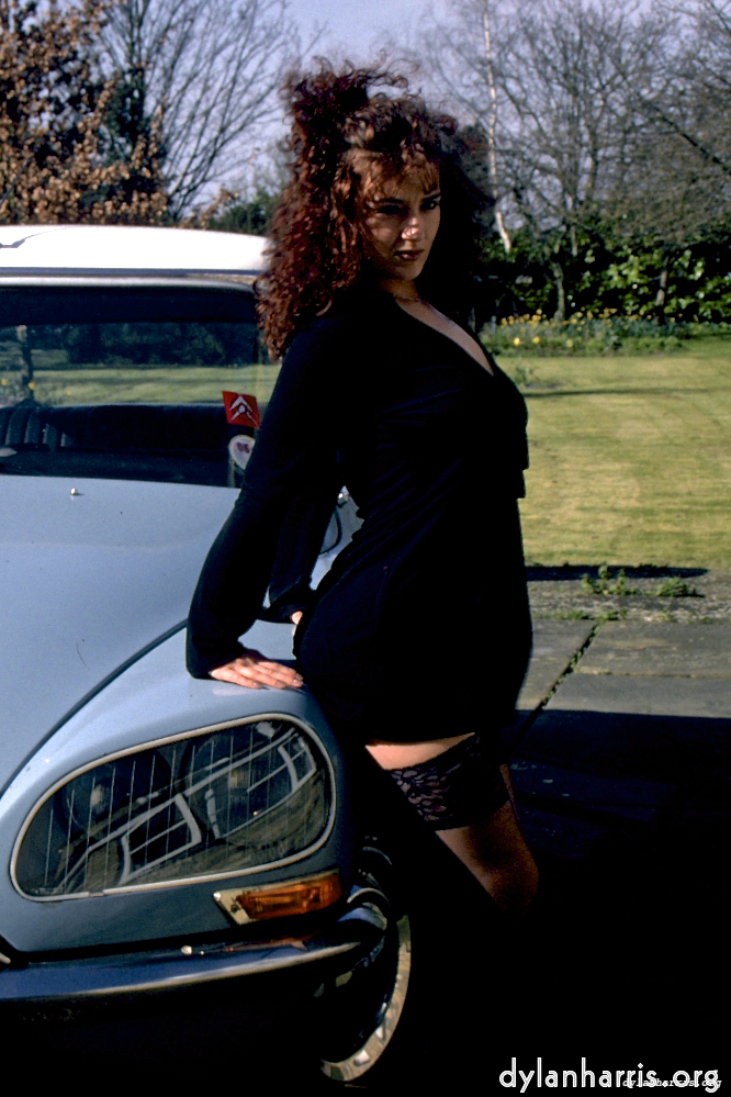 Image: Image 'kerry (xii) 2'.