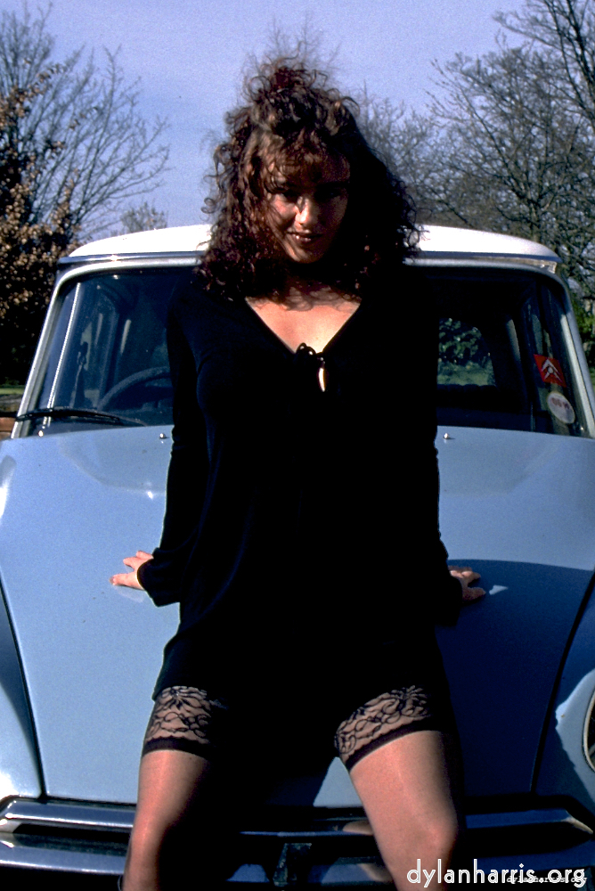 Image 'kerry (xii) 3'.