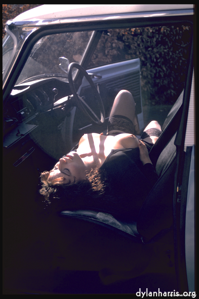 Image 'kerry (xiii) 4'.