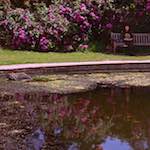 Fourth image from the photoset 'yorkshire (ii)'.