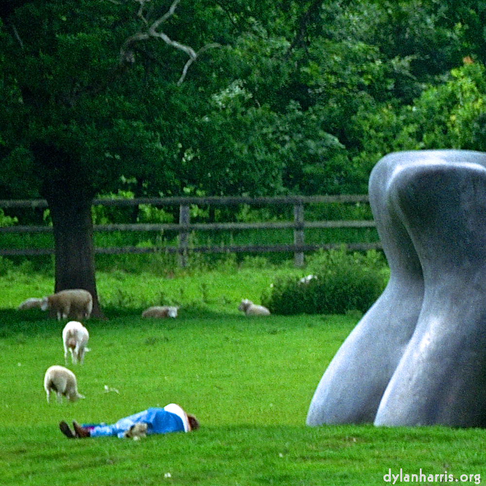 Image: Image 'yorkshire (iii) 4'.