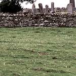 Image: Second image from the photoset 'highlands (i)'.