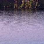 Image: Fourth image from the photoset 'highlands (i)'.