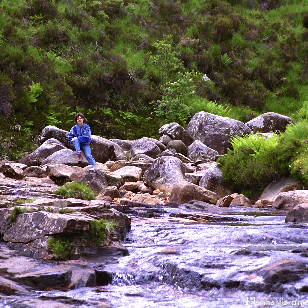 Image: Image 'LVL (i) 6'.