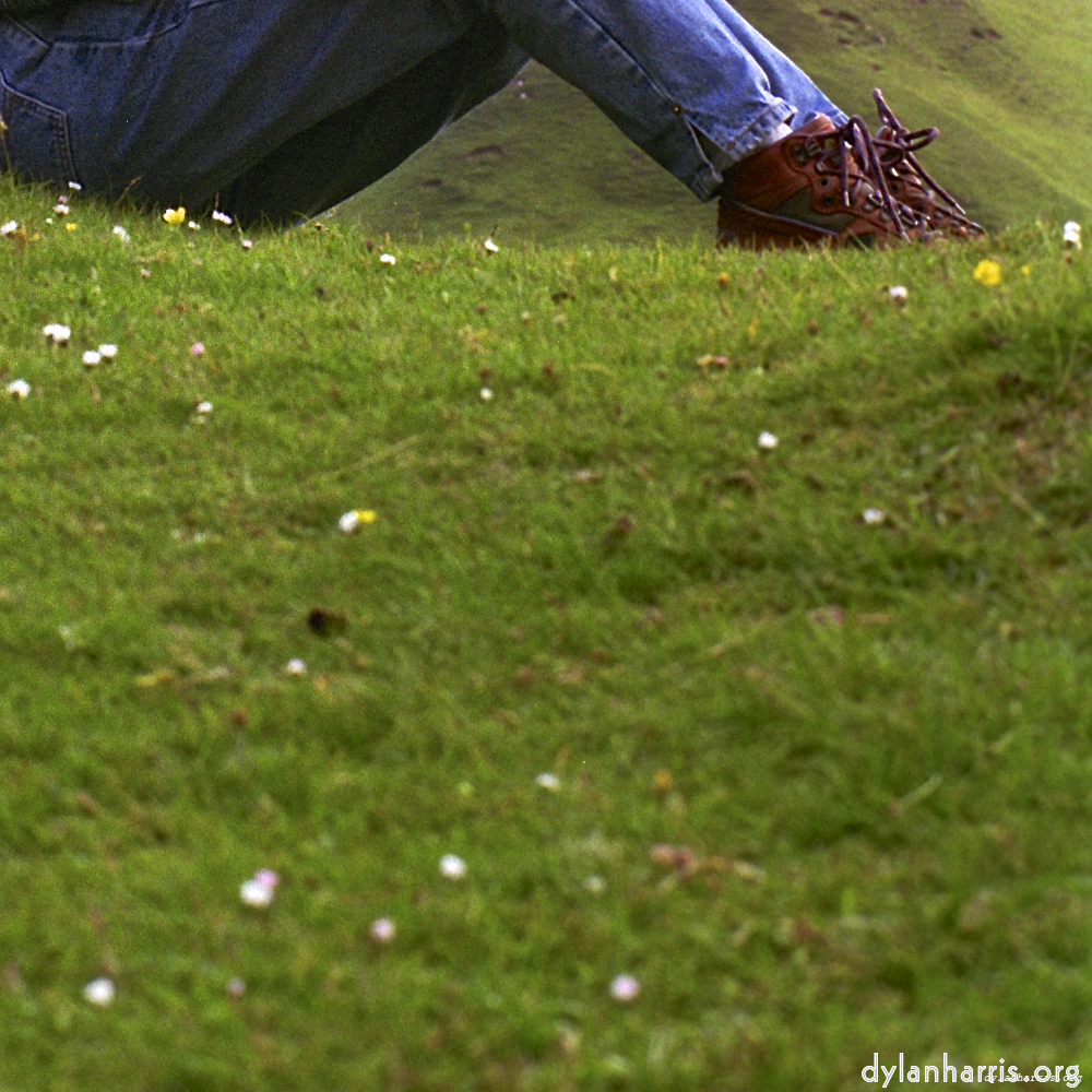 Image: Image 'LVL (ii) 1'.