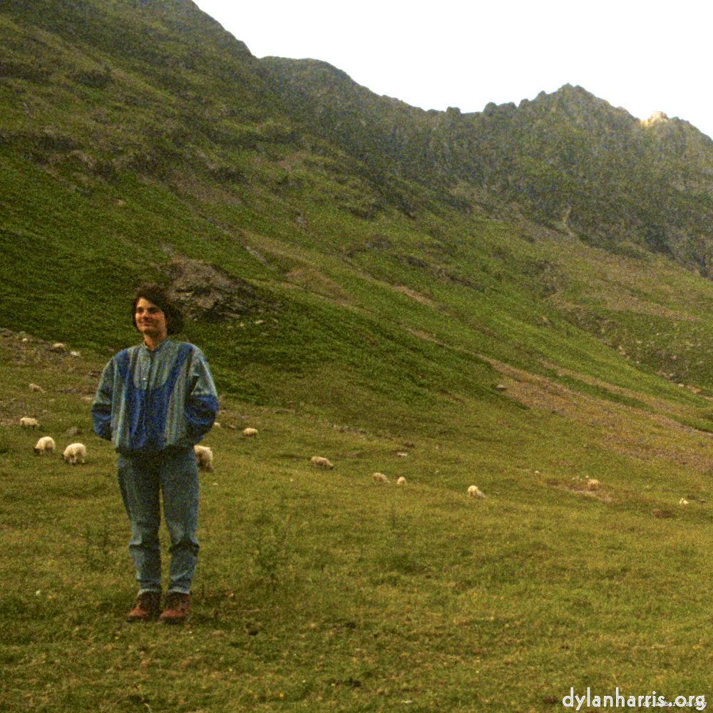 Image: Image 'LVL (ii) 3'.