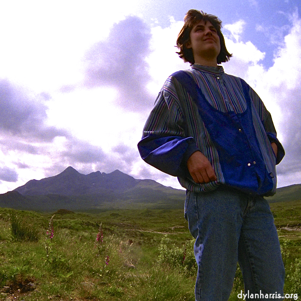 Image: Image 'LVL (ii) 5'.