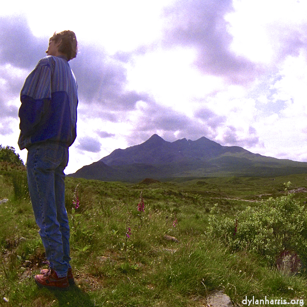 Image: Image 'LVL (ii) 6'.