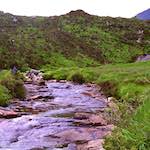 Image: Seventh image from the photoset 'LVL (ii)'.